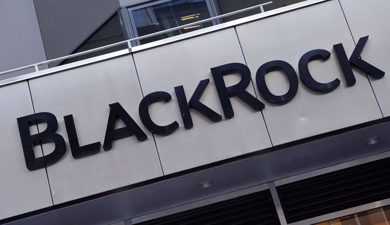 BlackRock Inc logo